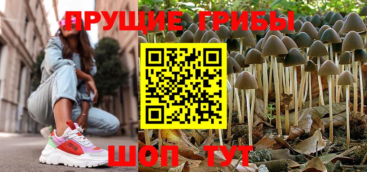 Таганрог  Галлюциногенные грибы ЛСД  Псилоцибиновые грибы Magic Shrooms  Вход с VPN 