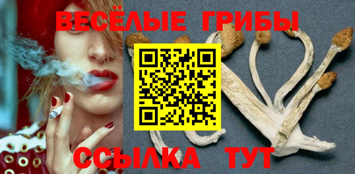 Псилоцибиновые грибы GOLDEN TEACHER Таганрог