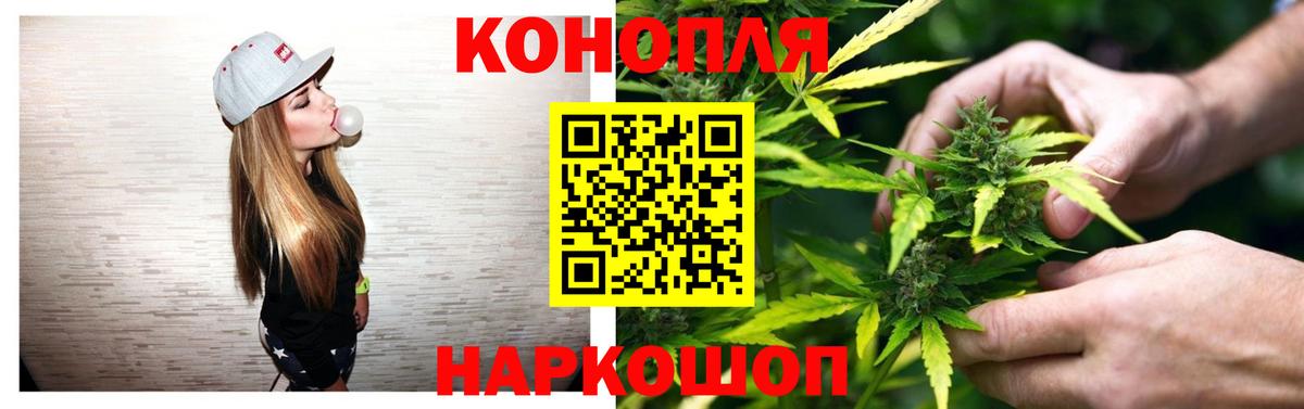 Бошки марихуана марихуана  Вход с VPN  Бошки марихуана конопля  Канабис семена  Таганрог 